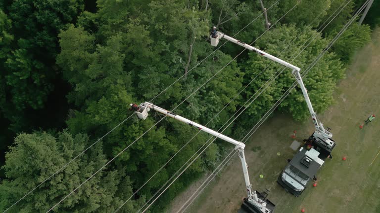 Leaf Removal in Mount Holly, NC